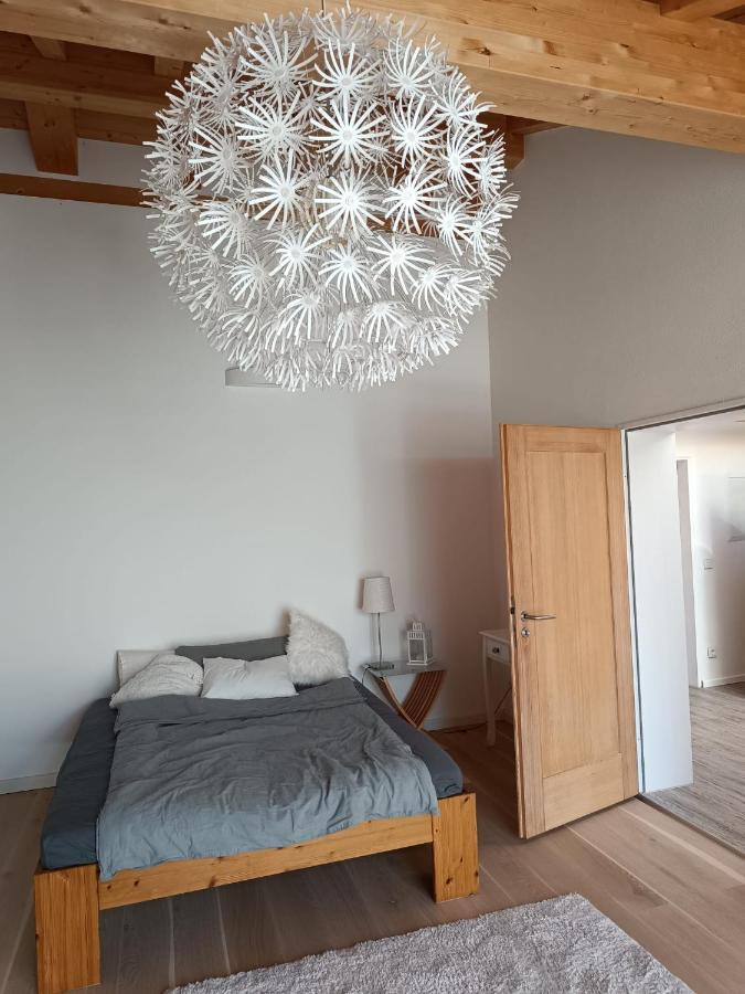 Apartment Unterm Dach Mit Kleinem Seeblick มึนซิง ภายนอก รูปภาพ